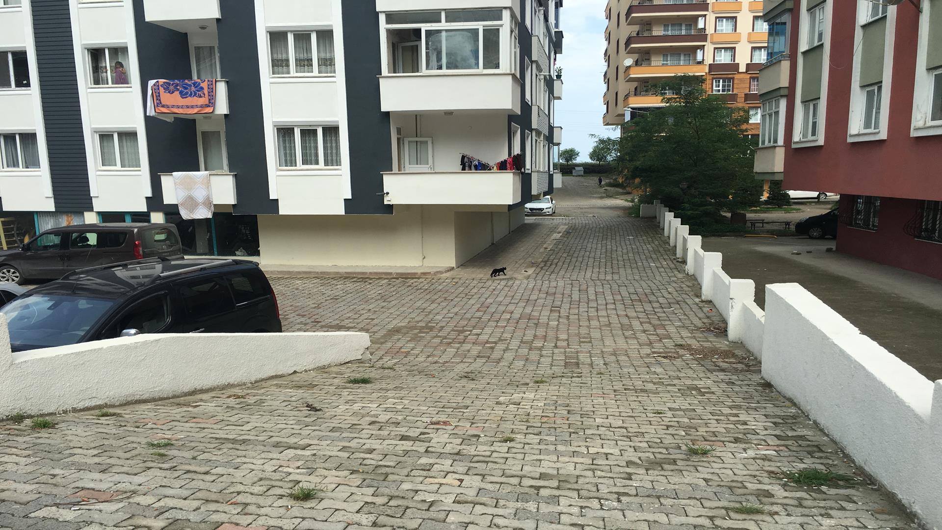 Kiralık Daire, Trabzon / OF / İRFANLI MAH.