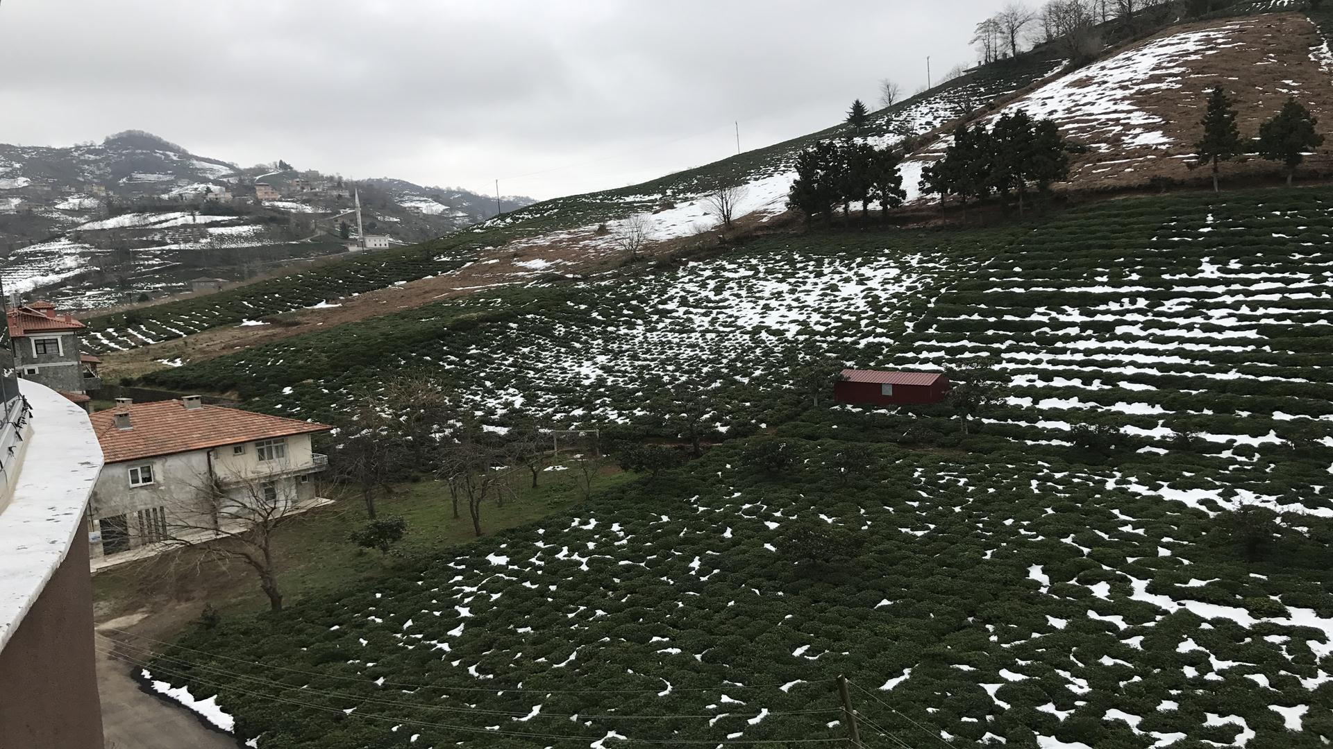 Satılık Daire, Trabzon / OF / CUMHURİYET MAH.