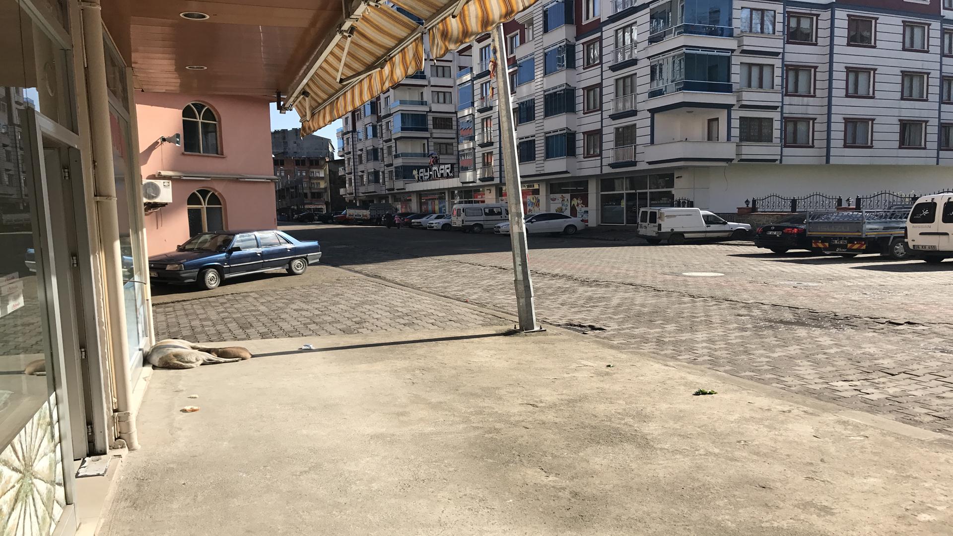 Kiralık Daire, Trabzon / OF / İRFANLI MAH.