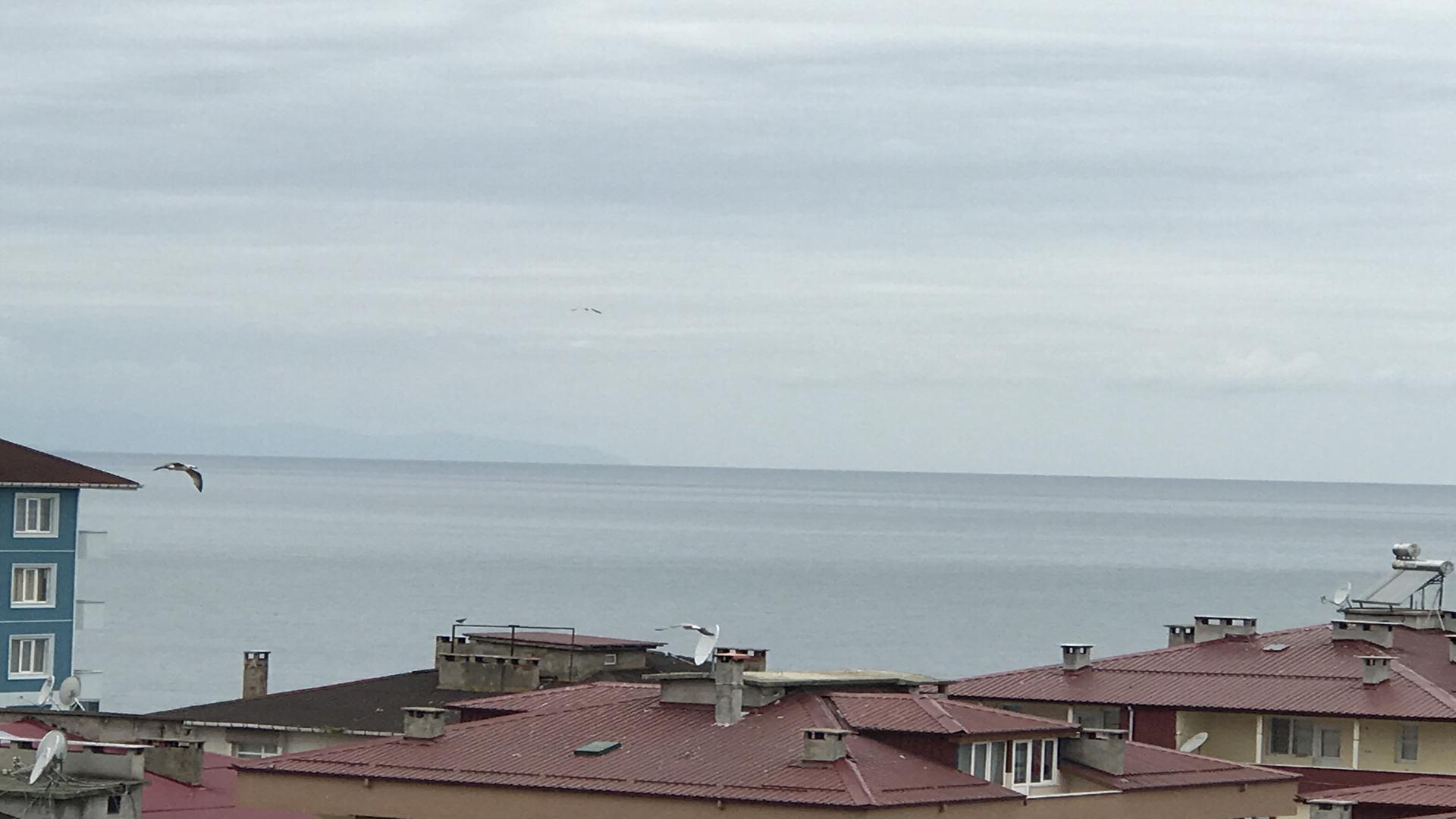 Satılık Daire, Trabzon / OF / İRFANLI MAH.