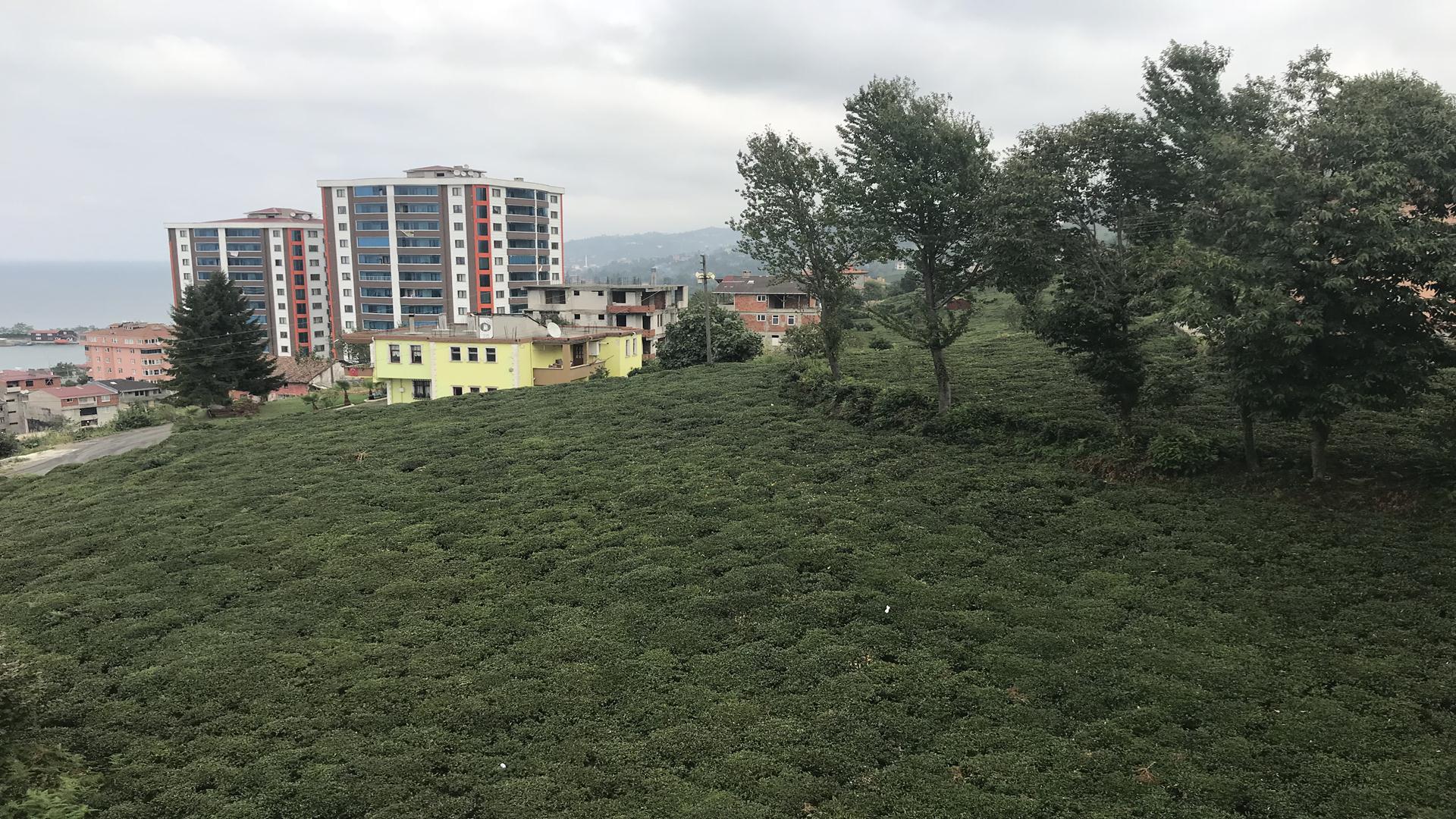 Kiralık Daire, Trabzon / OF / CUMHURİYET MAH.