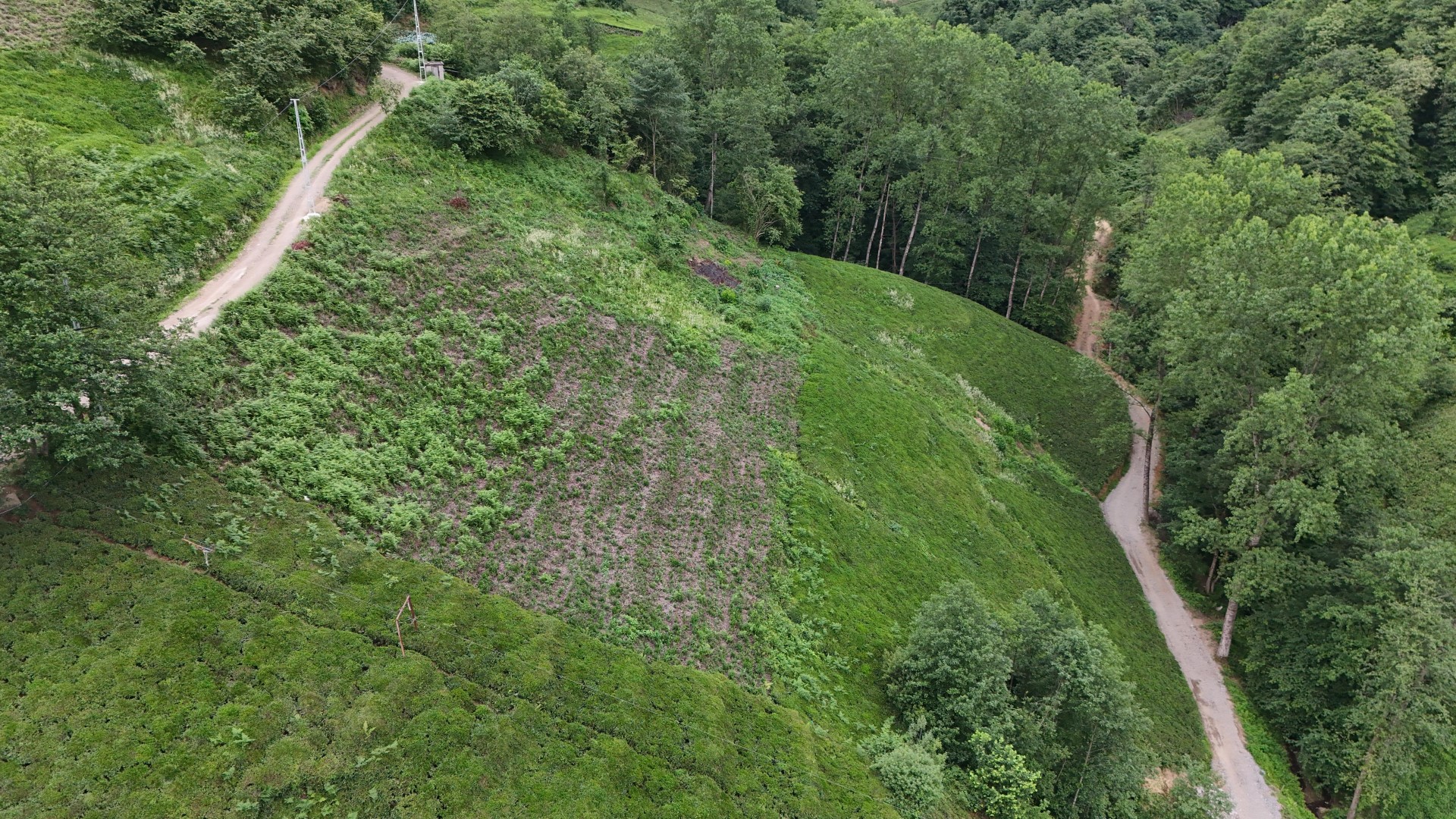 Satılık Trabzon / OF / YEMİŞALAN KÖYÜ