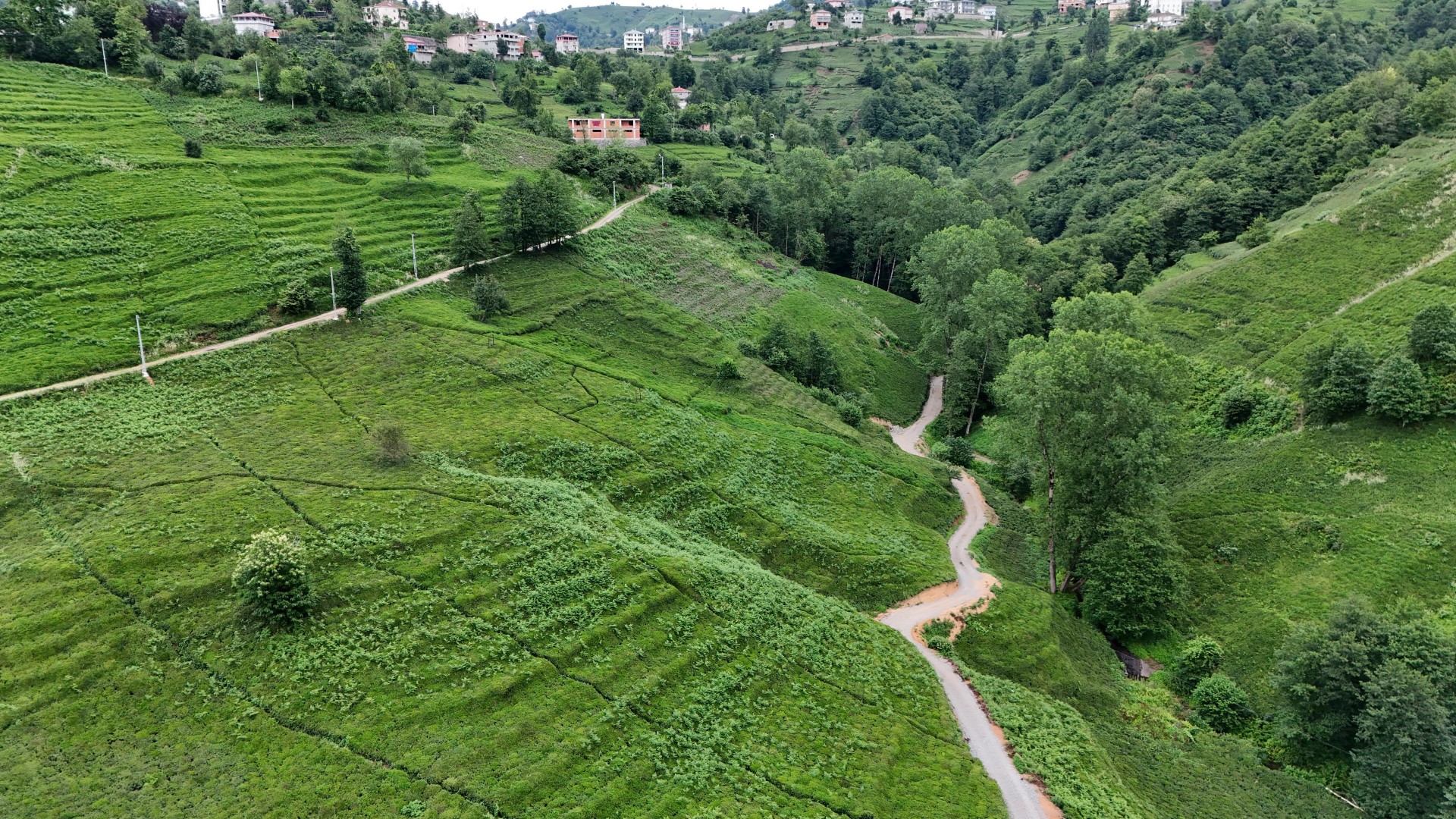Satılık Trabzon / OF / YEMİŞALAN KÖYÜ