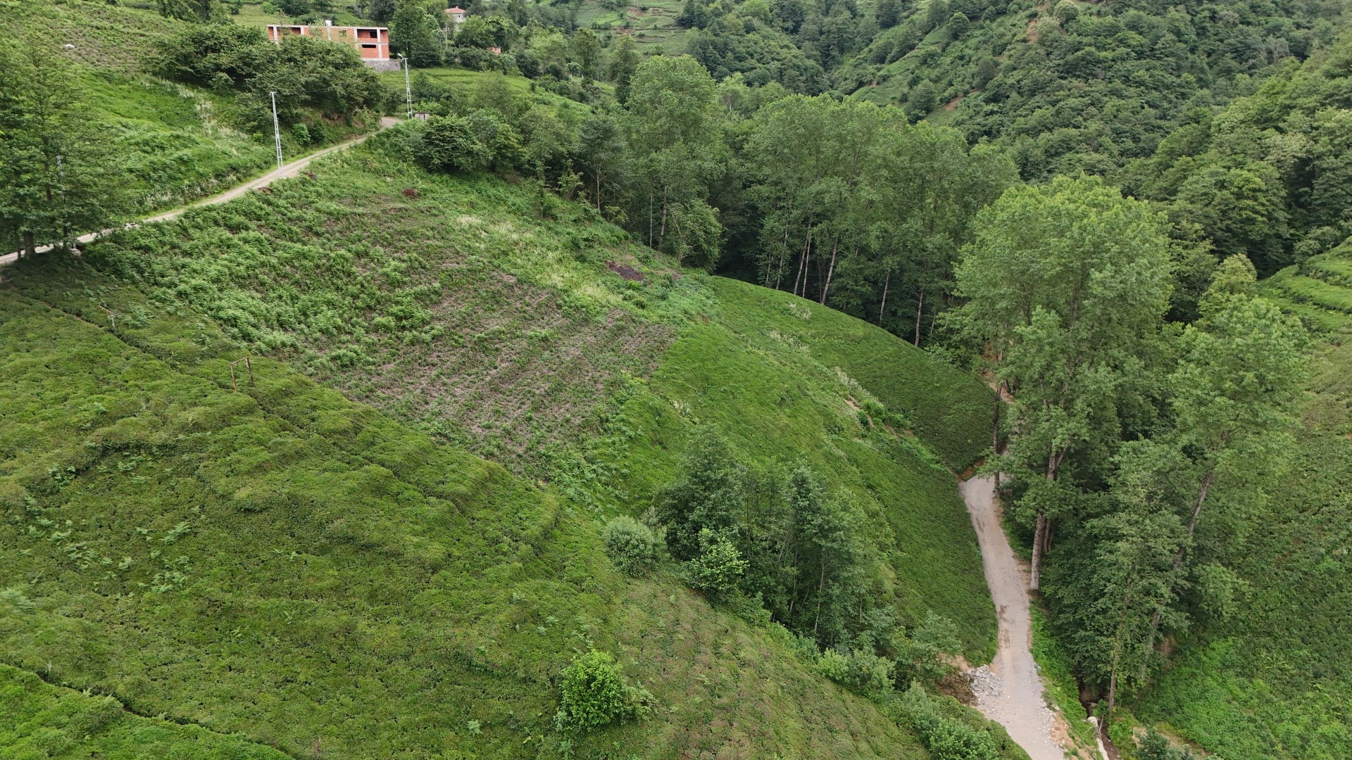 Satılık Trabzon / OF / YEMİŞALAN KÖYÜ