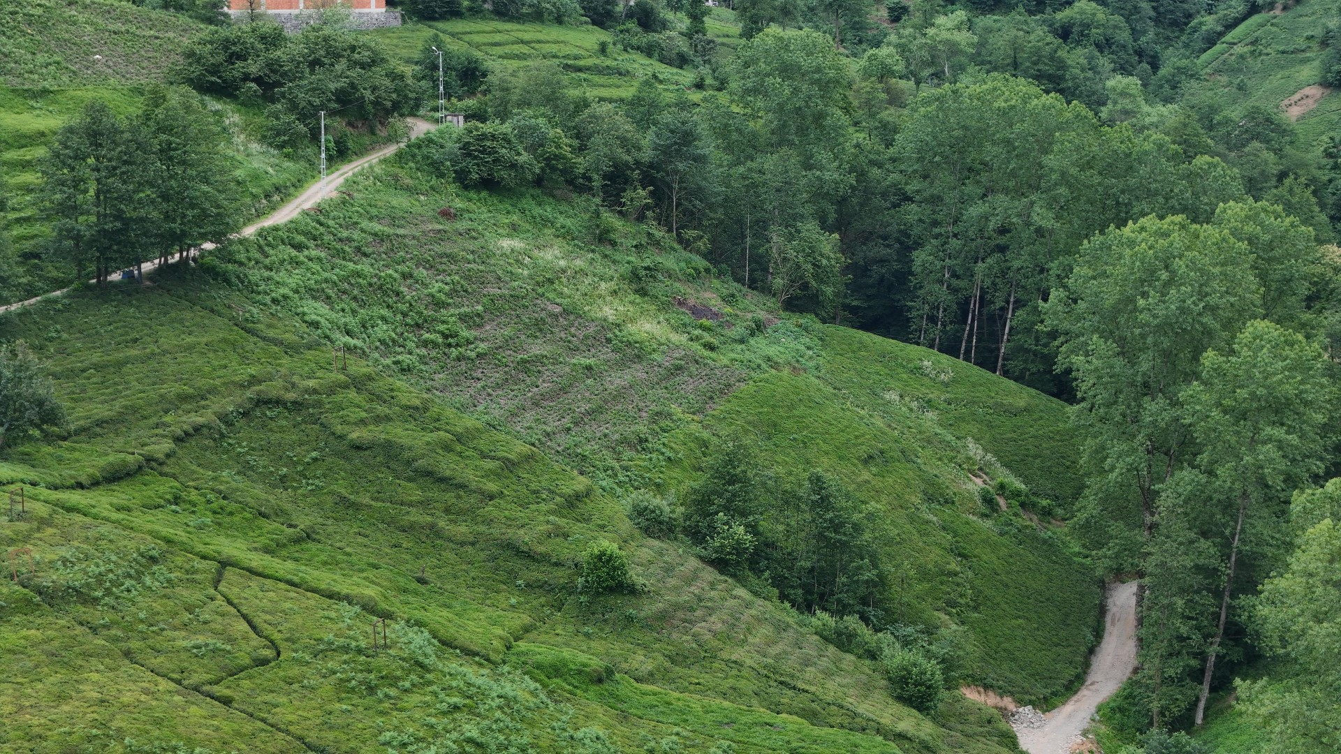 Satılık Trabzon / OF / YEMİŞALAN KÖYÜ
