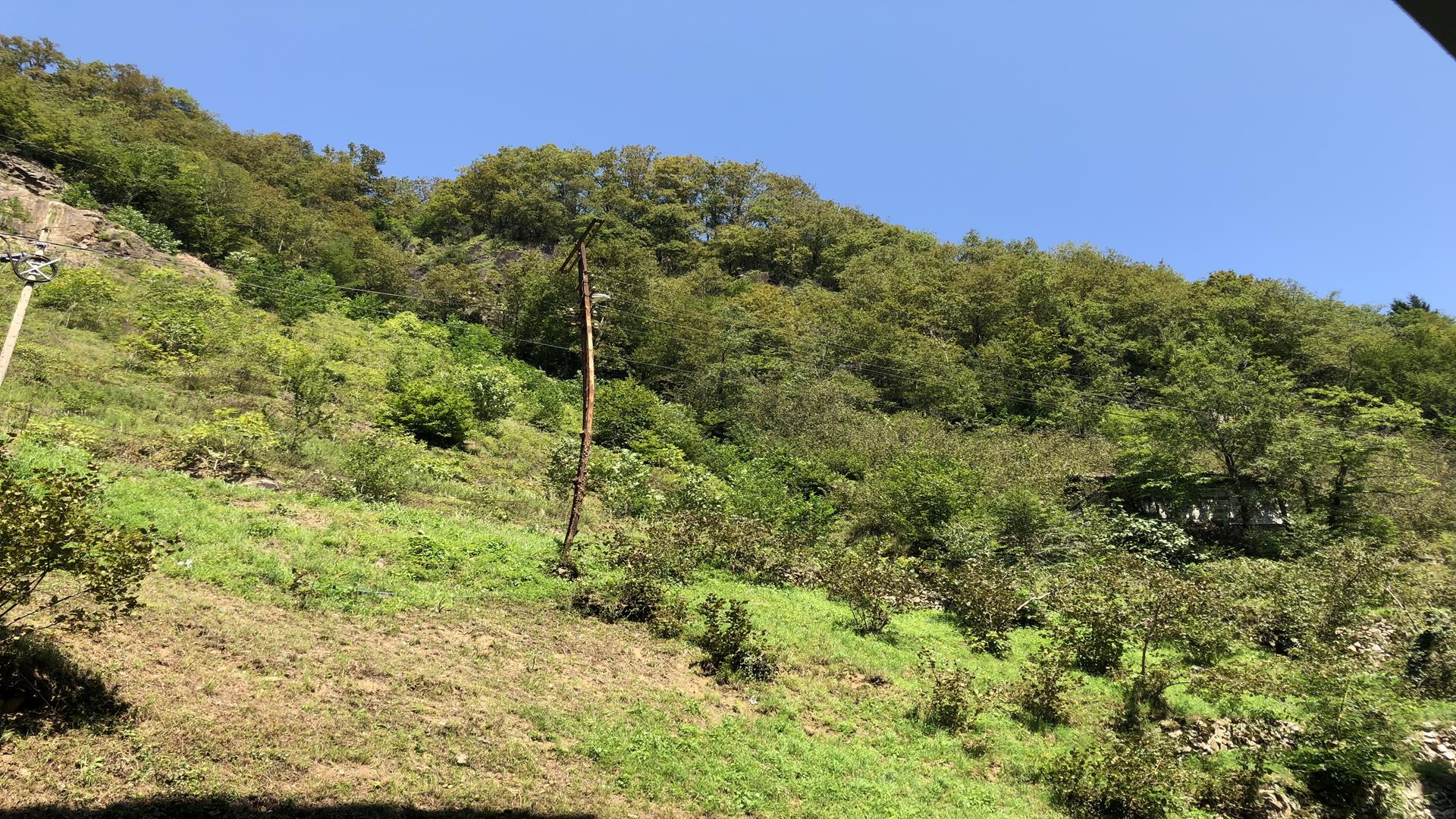 Satılık Daire, Trabzon / DERNEKPAZARI / MERKEZ MAHALLESİ