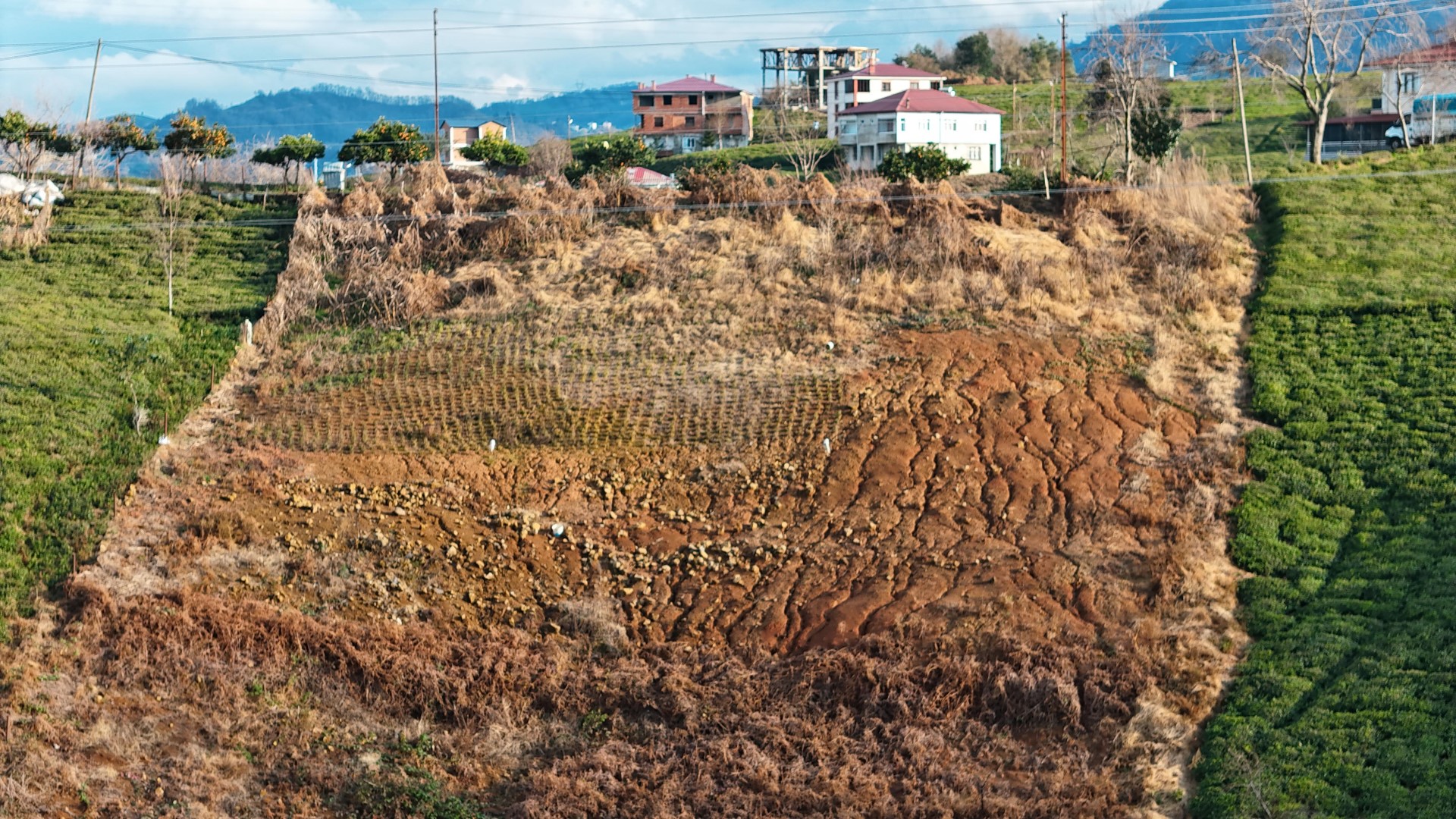 Satılık Trabzon / OF / ÇAMLI MAHALLESİ