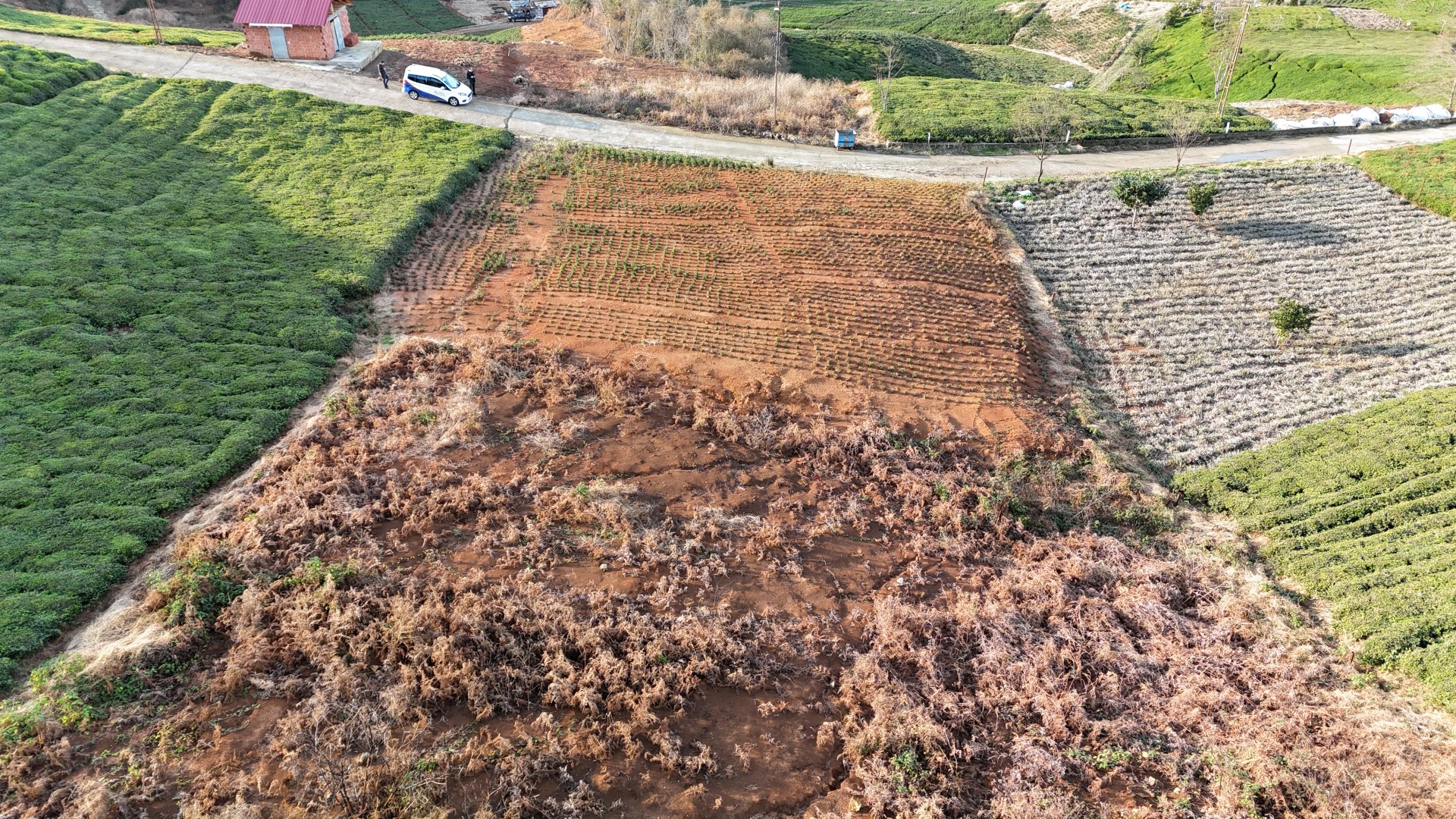 Satılık Trabzon / OF / ÇAMLI MAHALLESİ