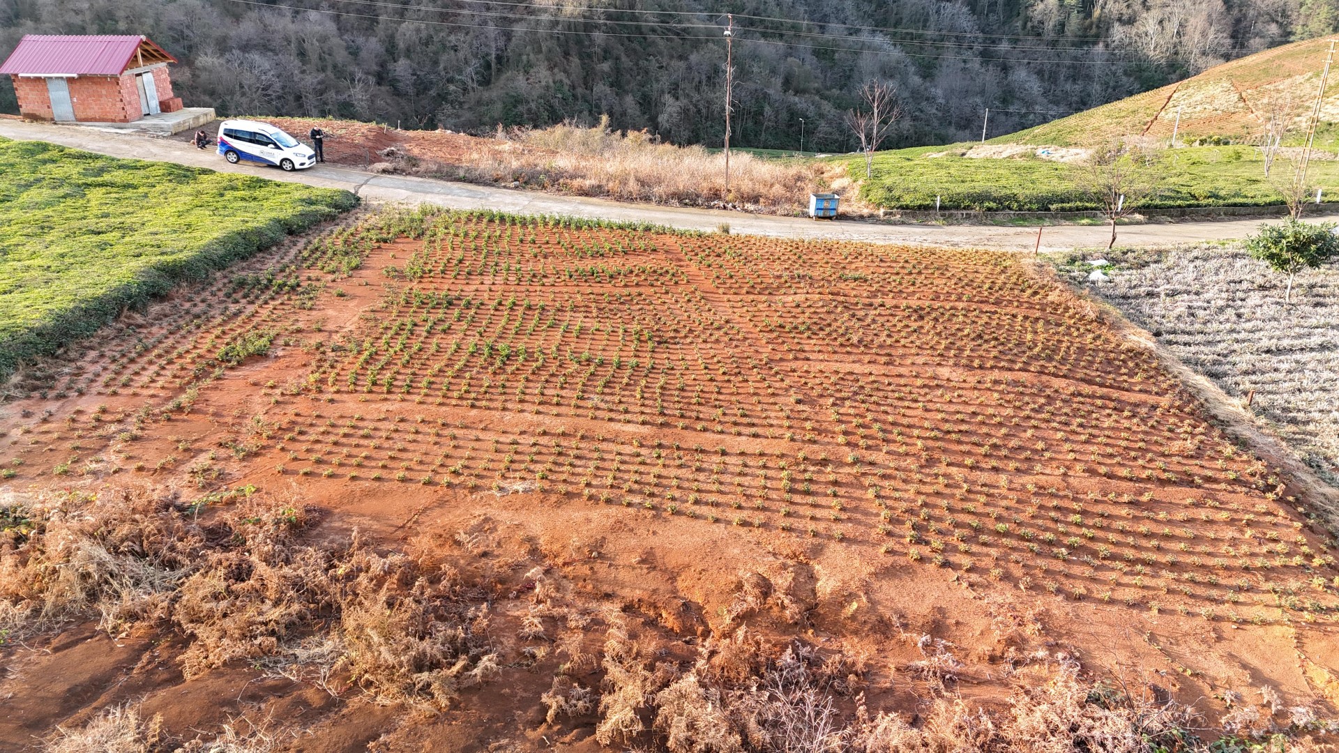 Satılık Trabzon / OF / ÇAMLI MAHALLESİ