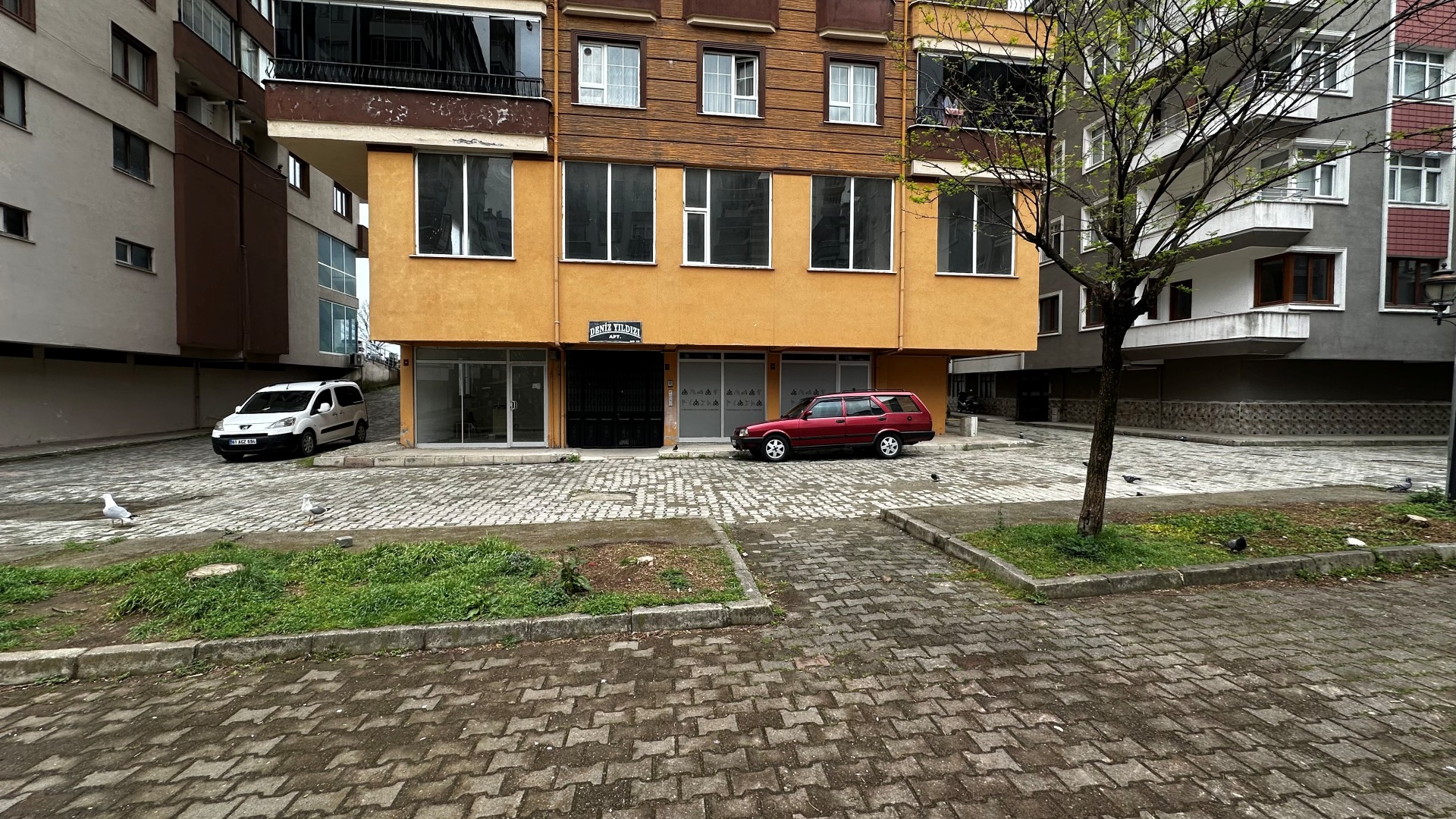 Kiralık Daire, Trabzon / OF / İRFANLI MAH.
