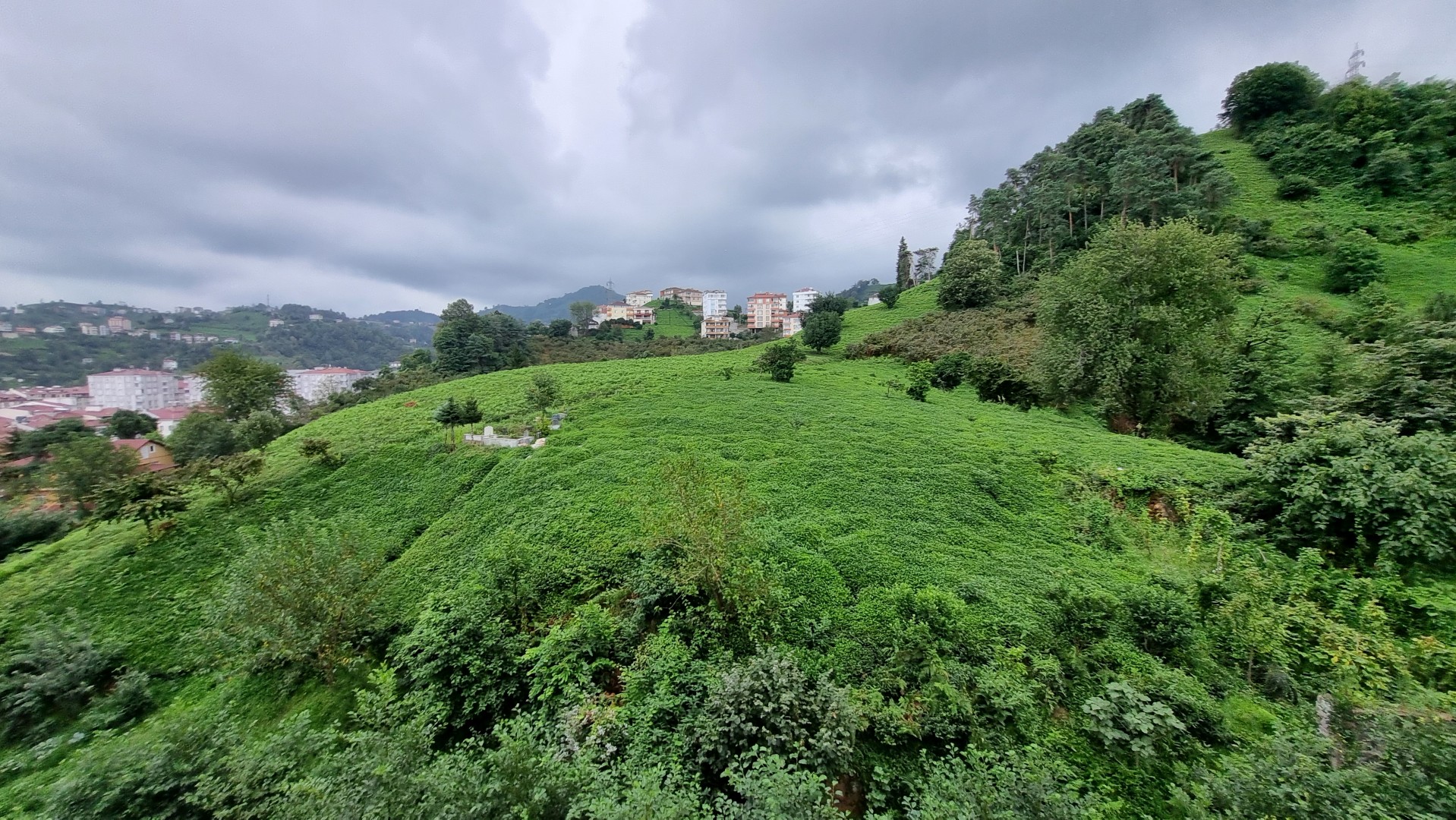 Satılık Daire, Trabzon / OF / İRFANLI MAHALLESİ