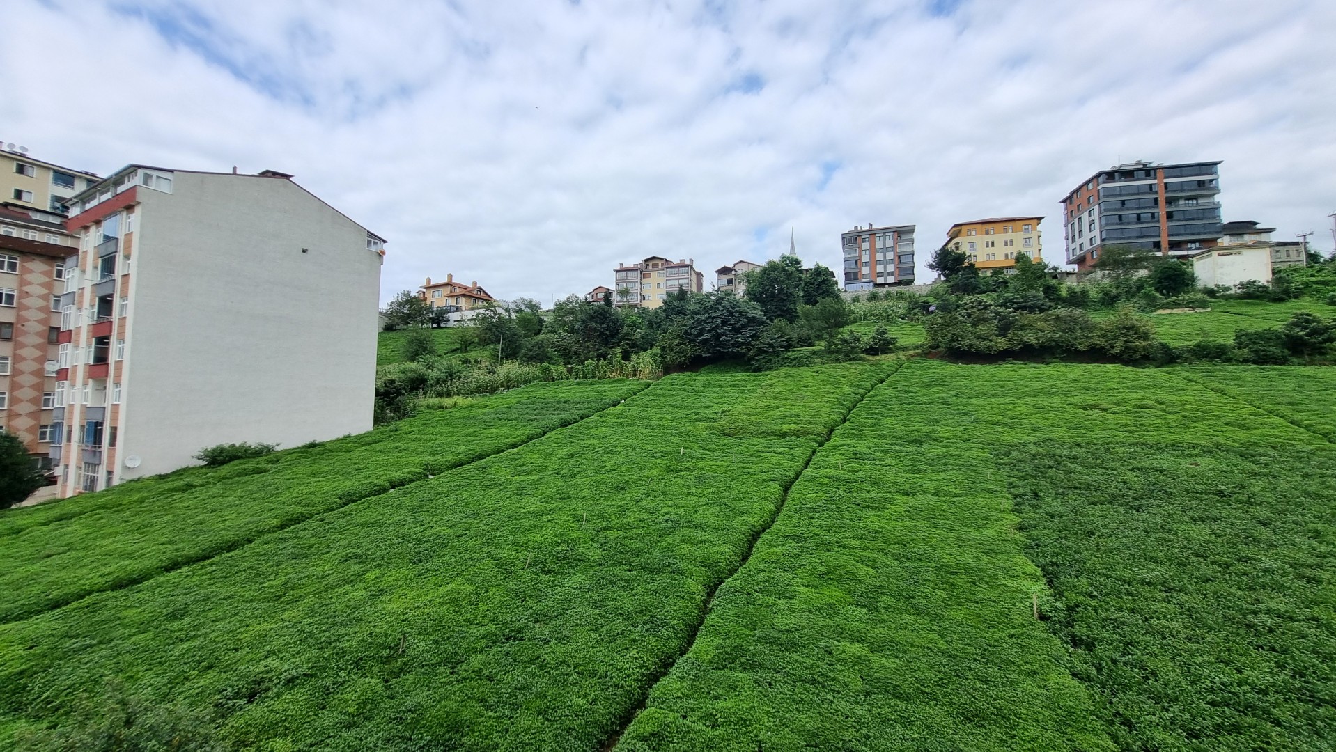 Kiralık Daire, Trabzon / OF / SULAKLI MAHALLESİ