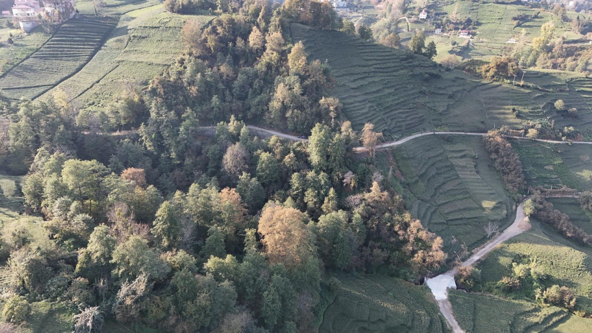 Satılık Trabzon / OF / ÇUKUROVA KÖYÜ MAH.