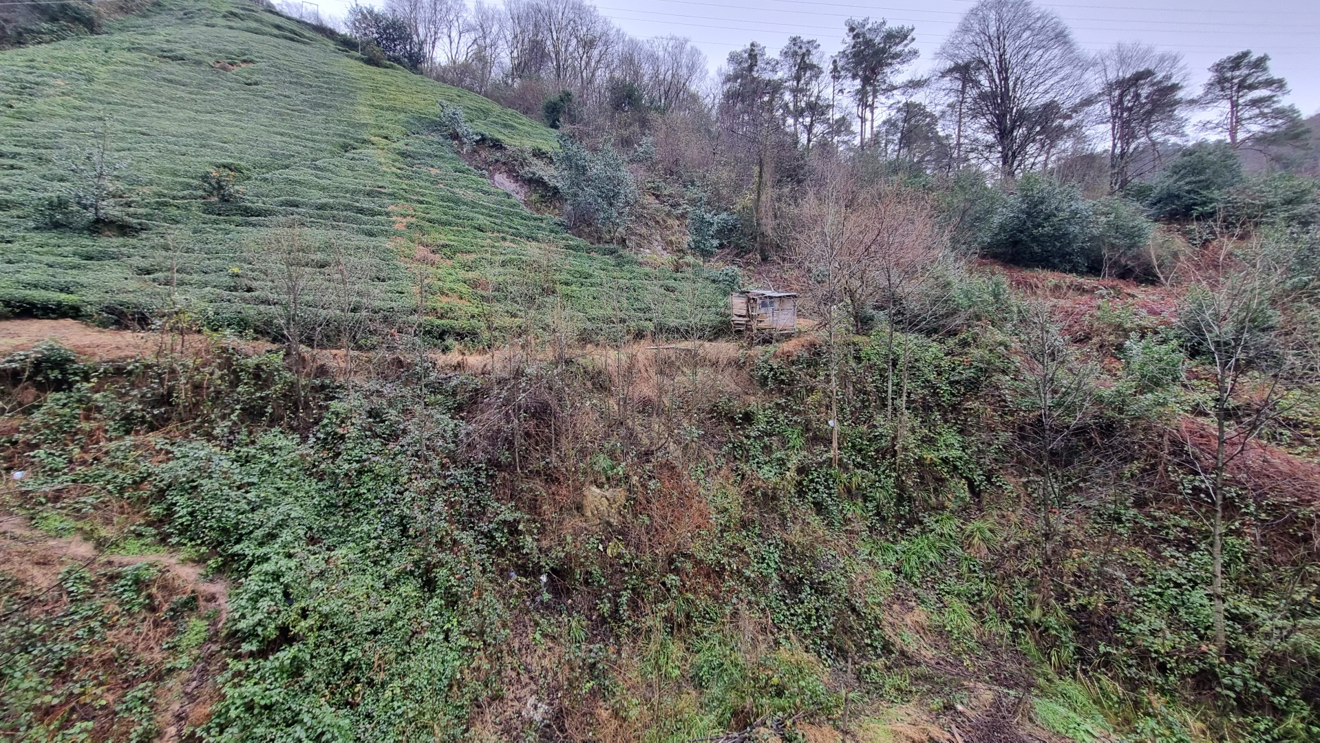 Kiralık Daire, Trabzon / OF / İRFANLI MAHALLESİ