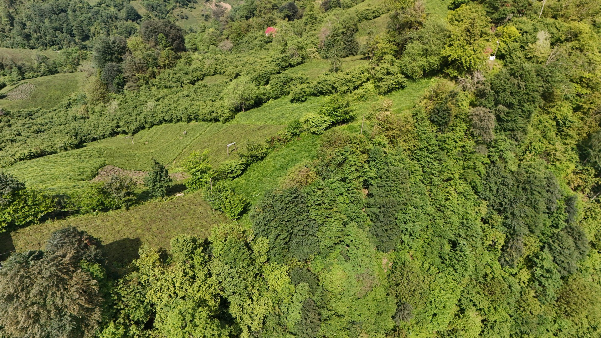 Satılık Trabzon / OF / FINDIKOBA MAHALLESİ