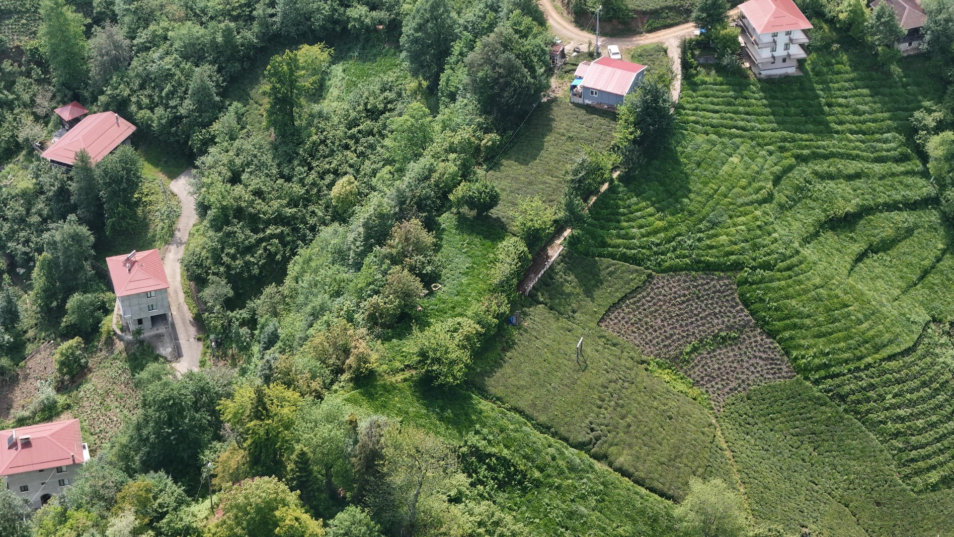 Satılık Trabzon / OF / FINDIKOBA MAHALLESİ