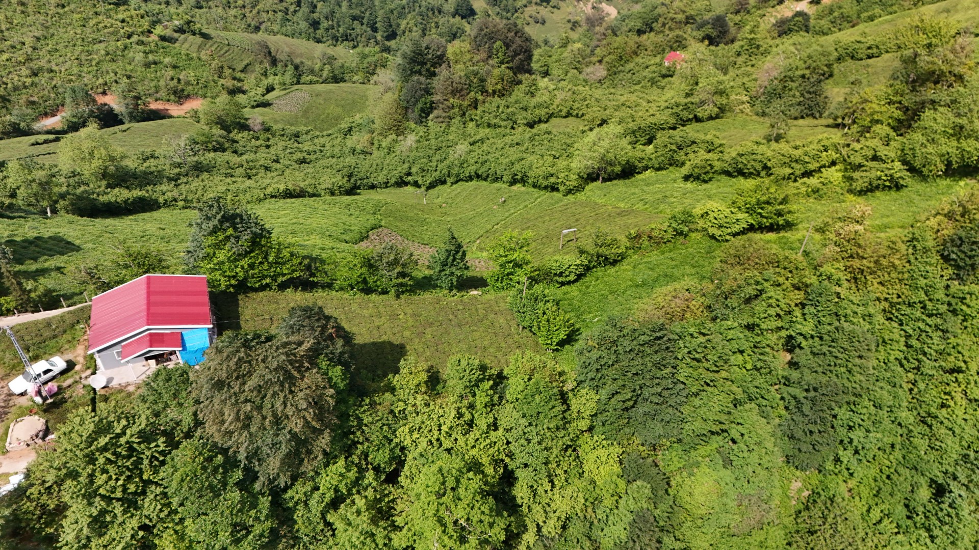 Satılık Trabzon / OF / FINDIKOBA MAHALLESİ