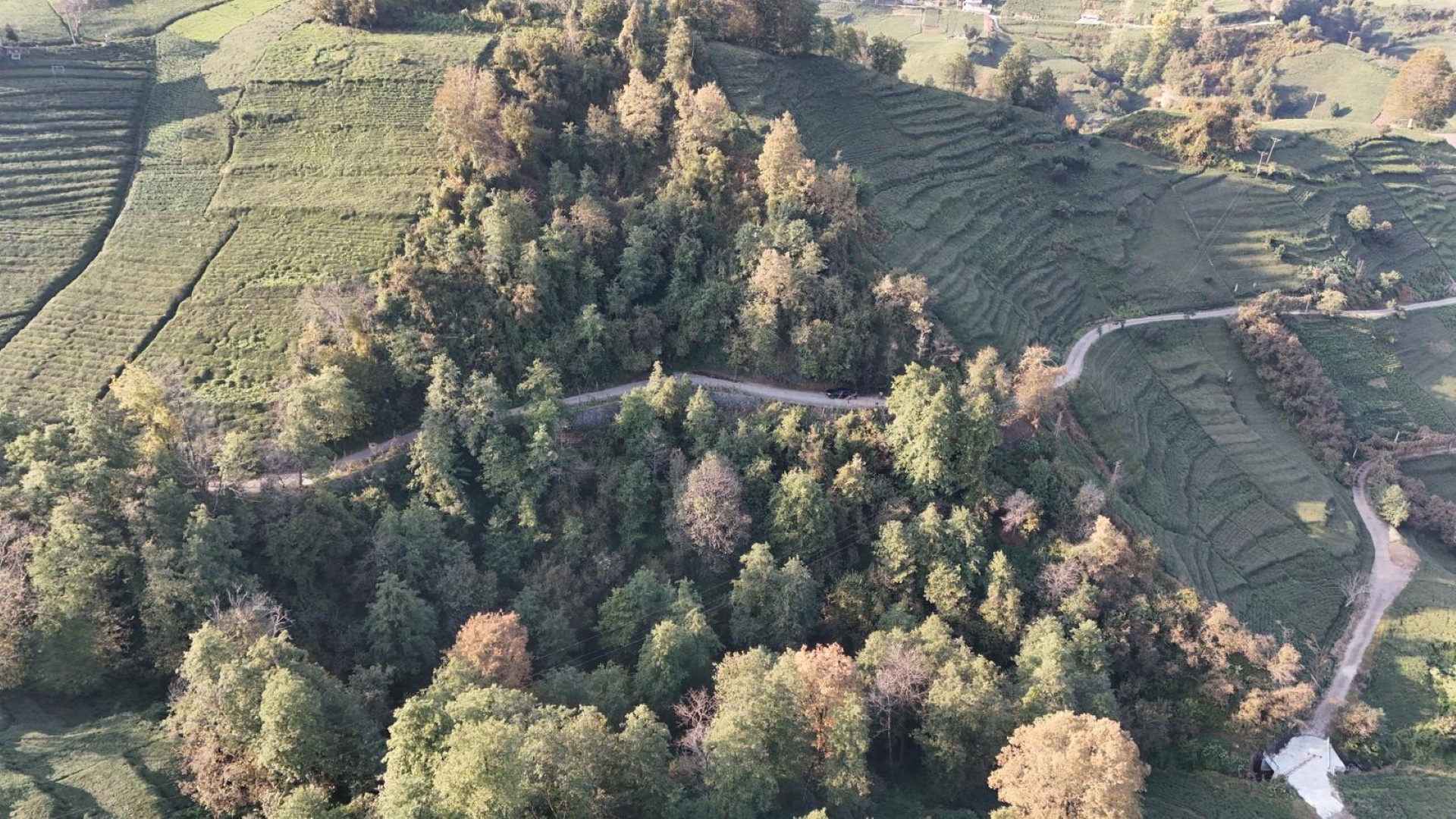 Satılık Trabzon / OF / ÇUKUROVA KÖYÜ MAH.