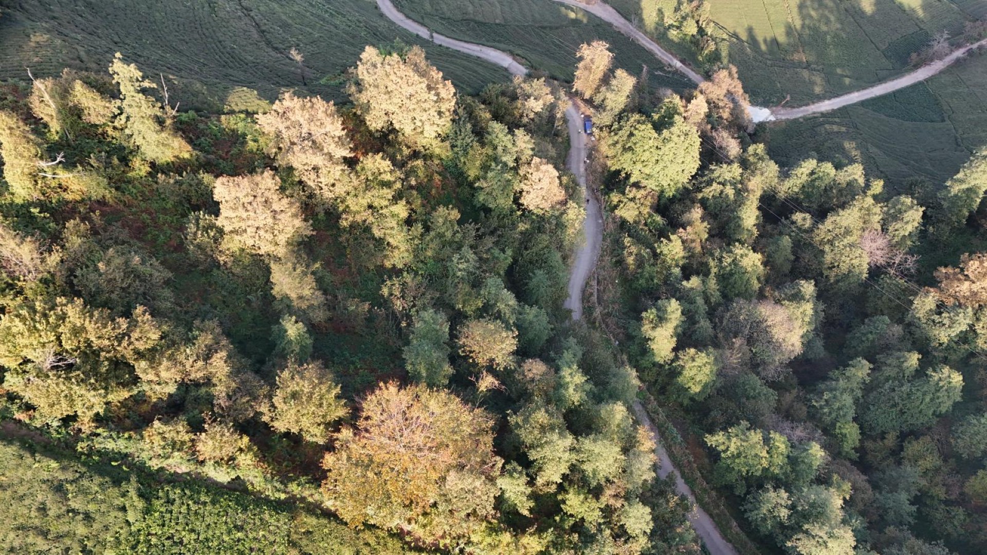 Satılık Trabzon / OF / ÇUKUROVA KÖYÜ MAH.