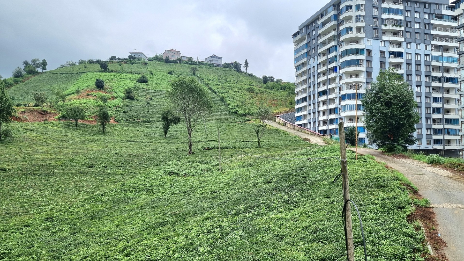 Kiralık Daire, Trabzon / OF / CUMHURİYET MAHALLESİ