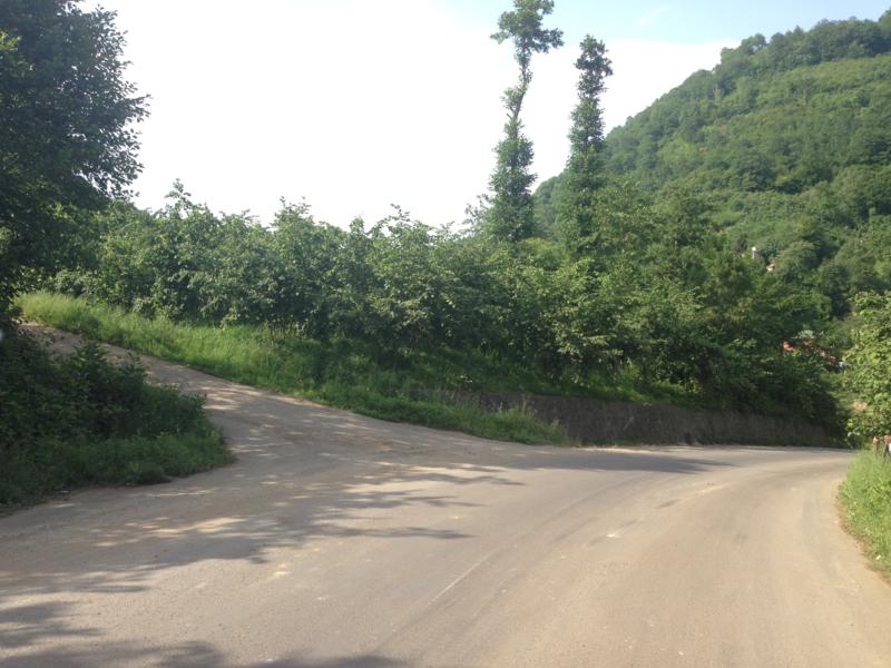 Satılık VERİMLİ ARAZİ, Trabzon / YOMRA