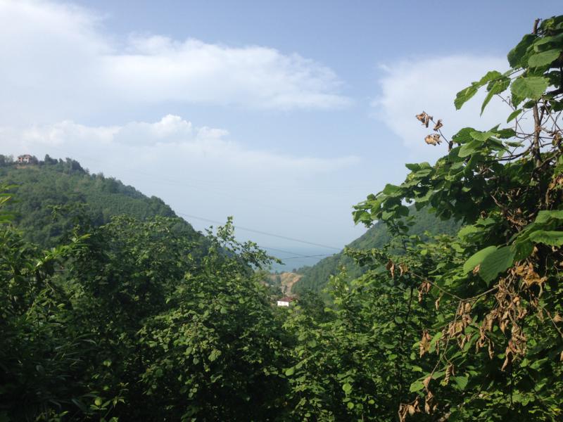 Satılık VERİMLİ ARAZİ, Trabzon / YOMRA