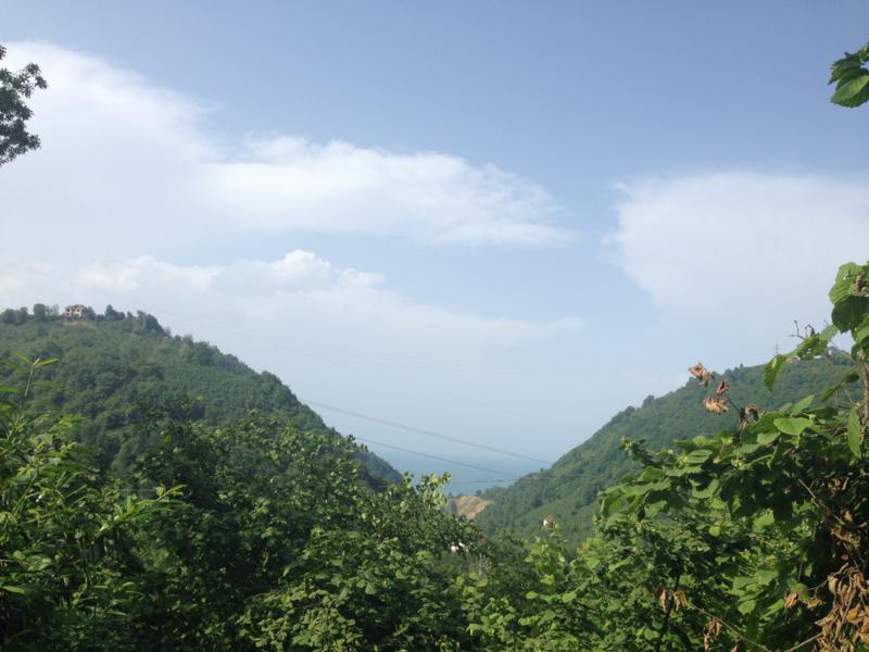 Satılık VERİMLİ ARAZİ, Trabzon / YOMRA
