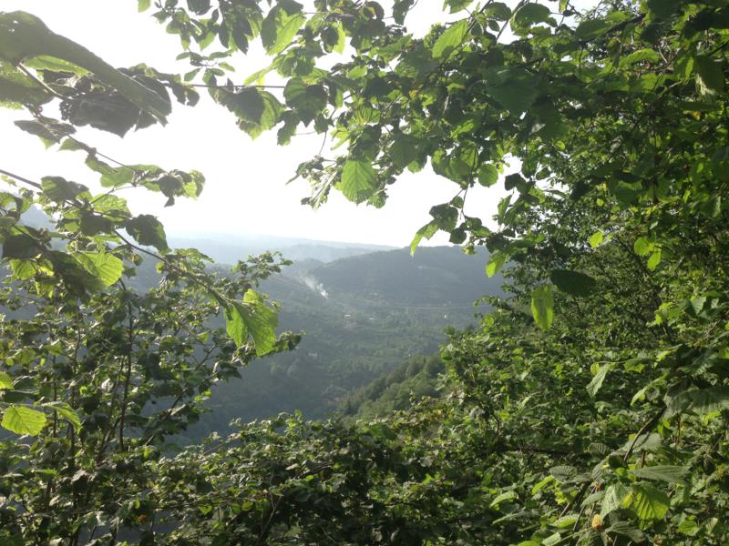 Satılık VERİMLİ ARAZİ, Trabzon / YOMRA