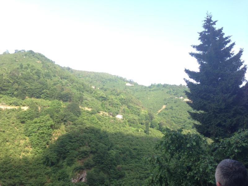 Satılık VERİMLİ ARAZİ, Trabzon / YOMRA