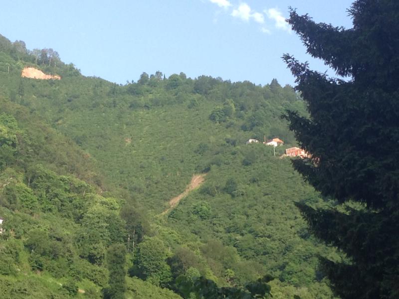 Satılık VERİMLİ ARAZİ, Trabzon / YOMRA