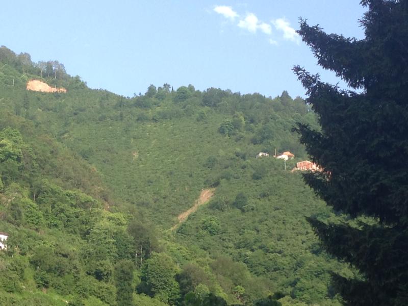 Satılık VERİMLİ ARAZİ, Trabzon / YOMRA