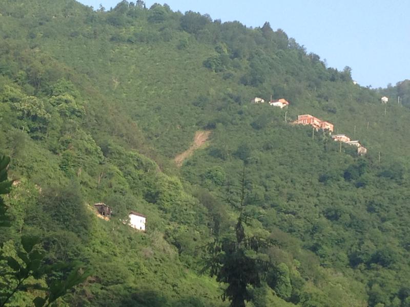 Satılık VERİMLİ ARAZİ, Trabzon / YOMRA