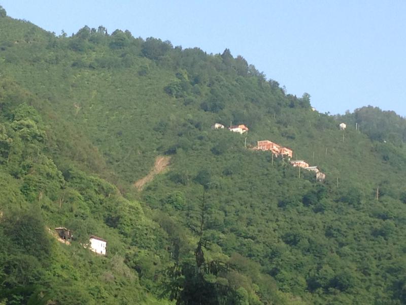 Satılık VERİMLİ ARAZİ, Trabzon / YOMRA