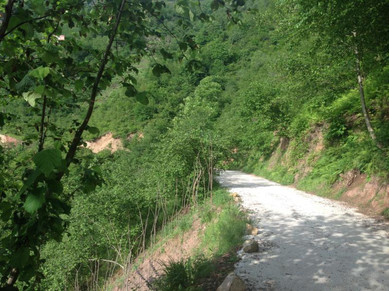 Satılık VERİMLİ ARAZİ, Trabzon / YOMRA