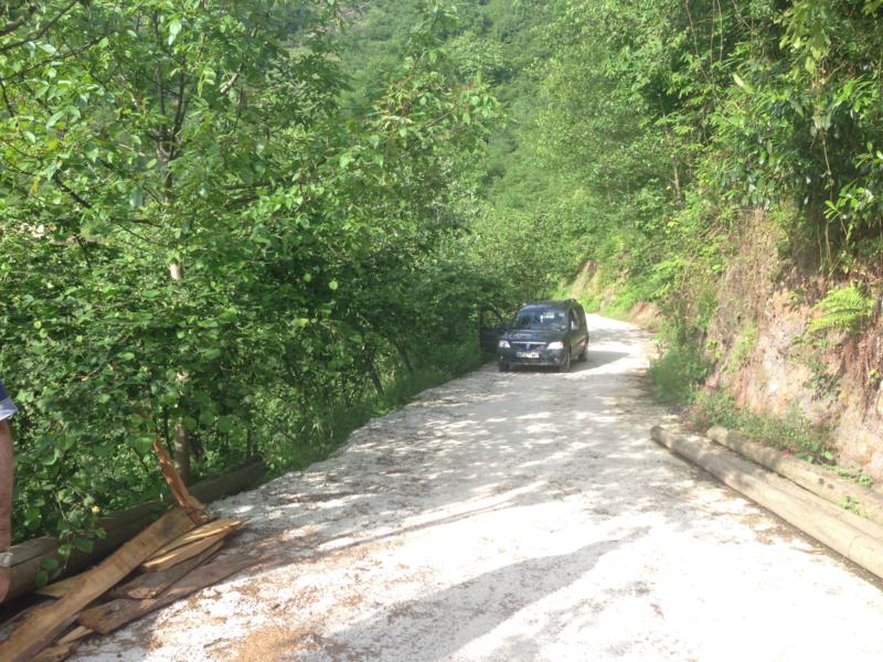 Satılık VERİMLİ ARAZİ, Trabzon / YOMRA