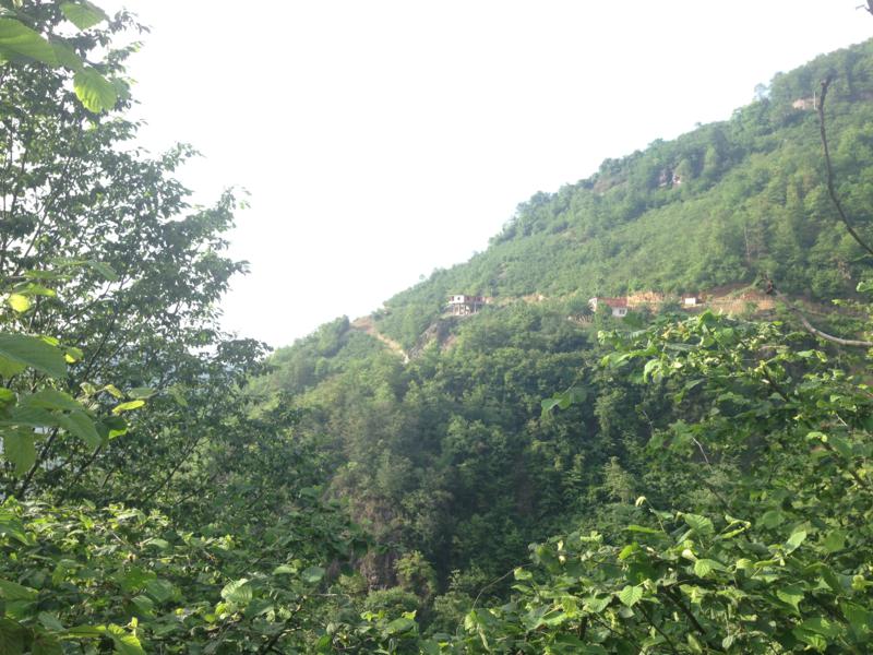 Satılık VERİMLİ ARAZİ, Trabzon / YOMRA
