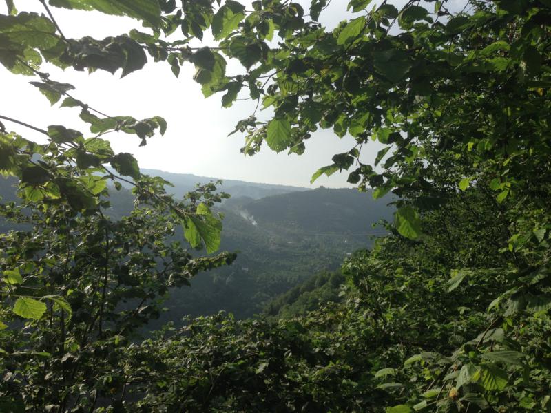 Satılık VERİMLİ ARAZİ, Trabzon / YOMRA