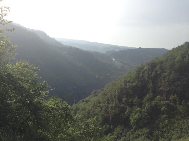 Satılık VERİMLİ ARAZİ, Trabzon / YOMRA