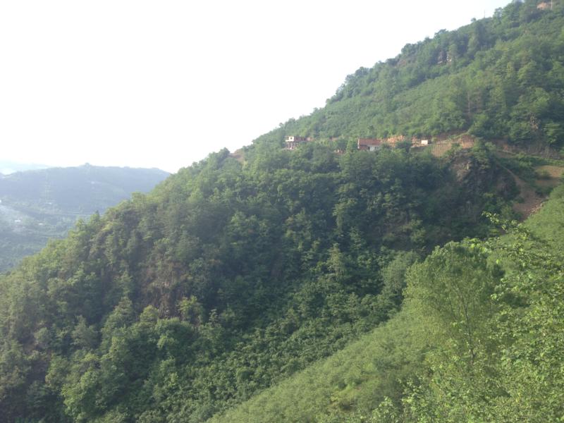 Satılık VERİMLİ ARAZİ, Trabzon / YOMRA