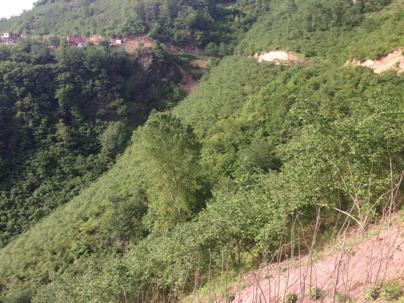 Satılık VERİMLİ ARAZİ, Trabzon / YOMRA