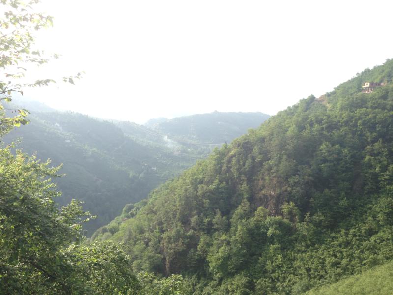 Satılık VERİMLİ ARAZİ, Trabzon / YOMRA