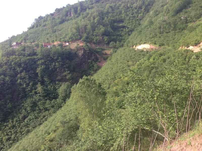 Satılık VERİMLİ ARAZİ, Trabzon / YOMRA
