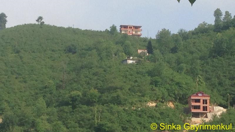 Satılık VERİMLİ ARAZİ, Trabzon / YOMRA
