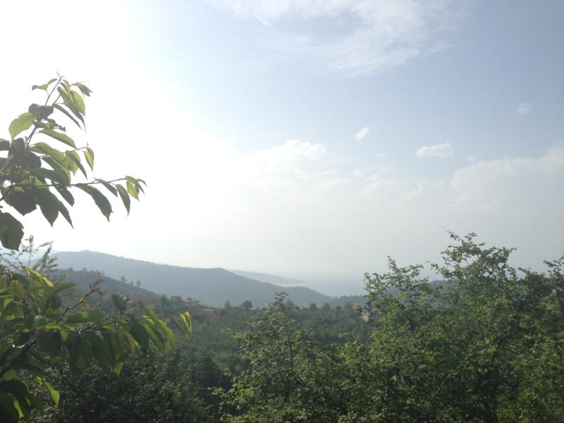 Satılık VERİMLİ ARAZİ, Trabzon / YOMRA