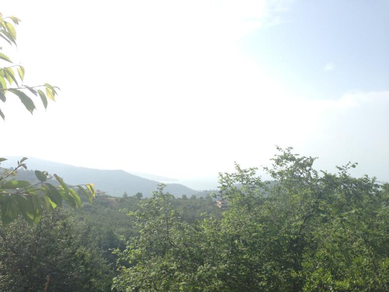 Satılık VERİMLİ ARAZİ, Trabzon / YOMRA