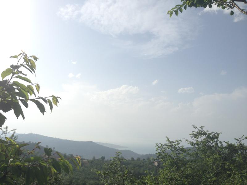 Satılık VERİMLİ ARAZİ, Trabzon / YOMRA
