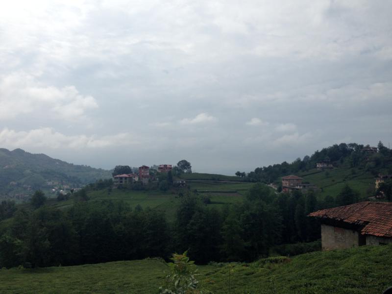 Satılık VERİMLİ ARAZİ, Trabzon / MERKEZ