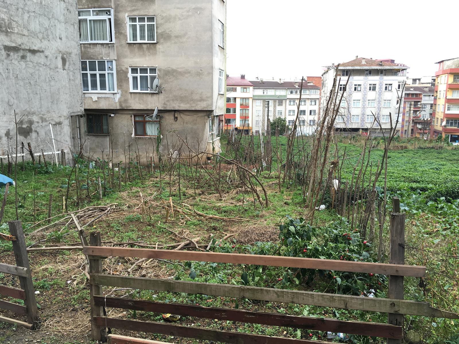 Satılık Trabzon / OF / SULAKLI MAH.
