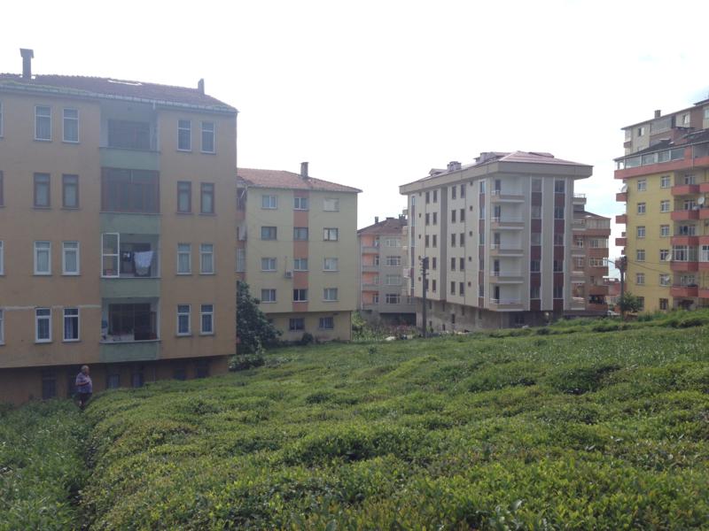 Satılık Trabzon / MERKEZ / SOLAKLI MAH.