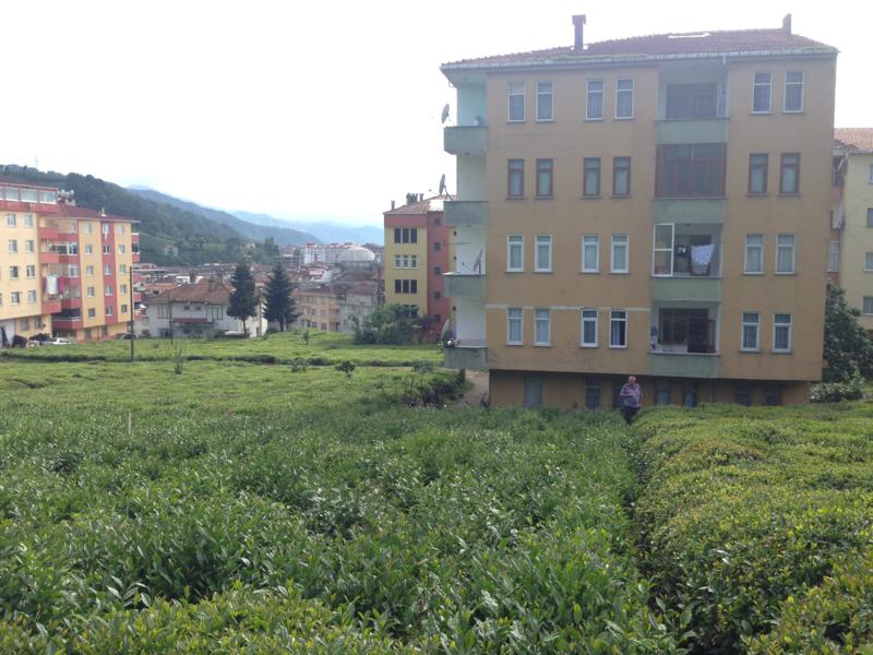 Satılık Trabzon / MERKEZ / SOLAKLI MAH.